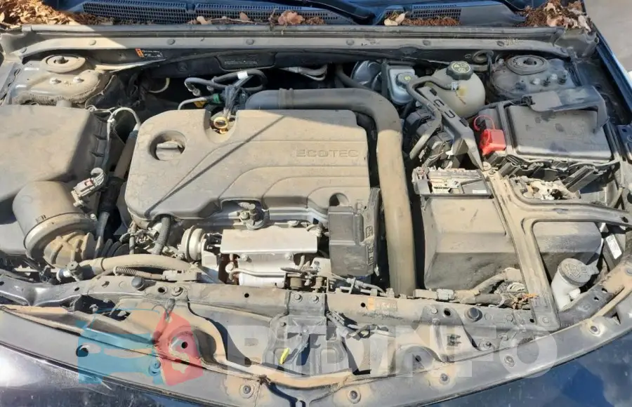 1G1ZD5ST6LF071214 Photo# 11