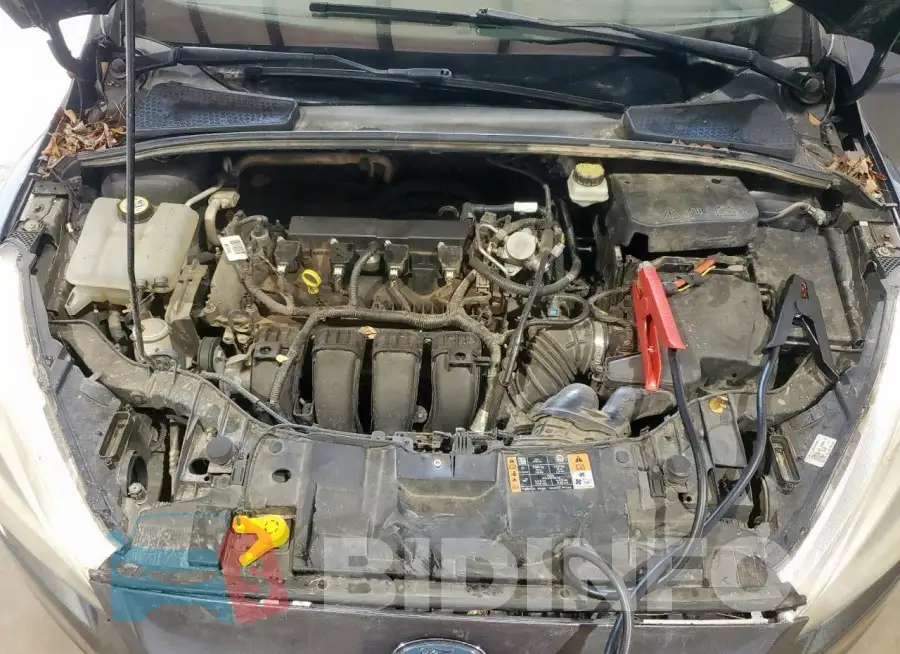 1FADP3F25HL247862 Photo# 11