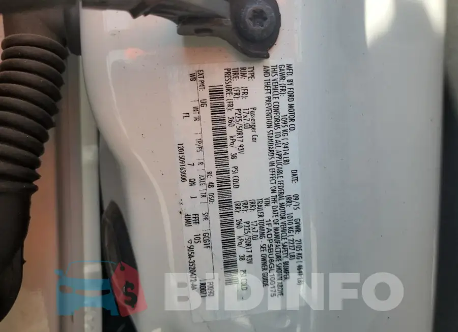 1FADP5BU6GL100175 Photo# 13