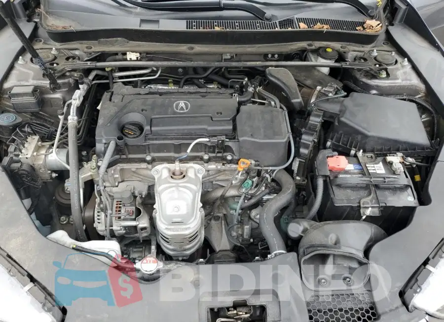 19UUB1F52KA009902 Photo# 11