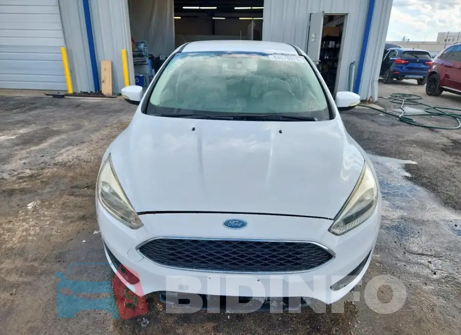 1FADP3F29GL254943 Photo# 5