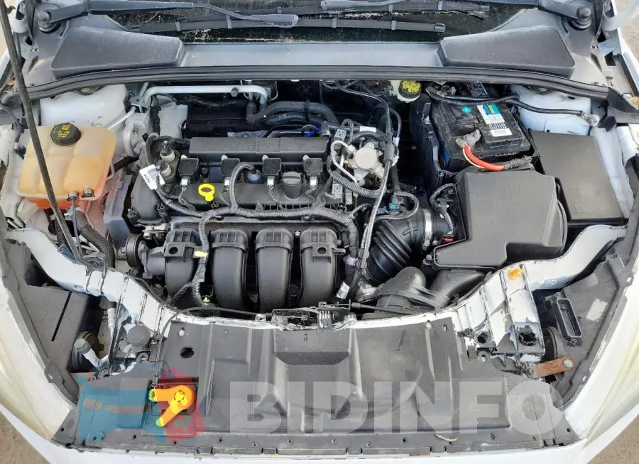 1FADP3F29GL254943 Photo# 11