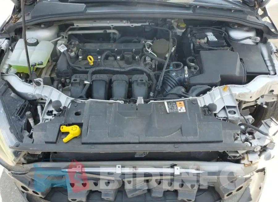 1FADP3K22GL311330 Photo# 11