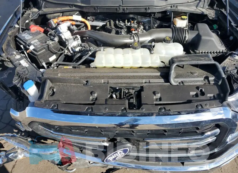 1FTFW5LD9RFA53939 Photo# 11