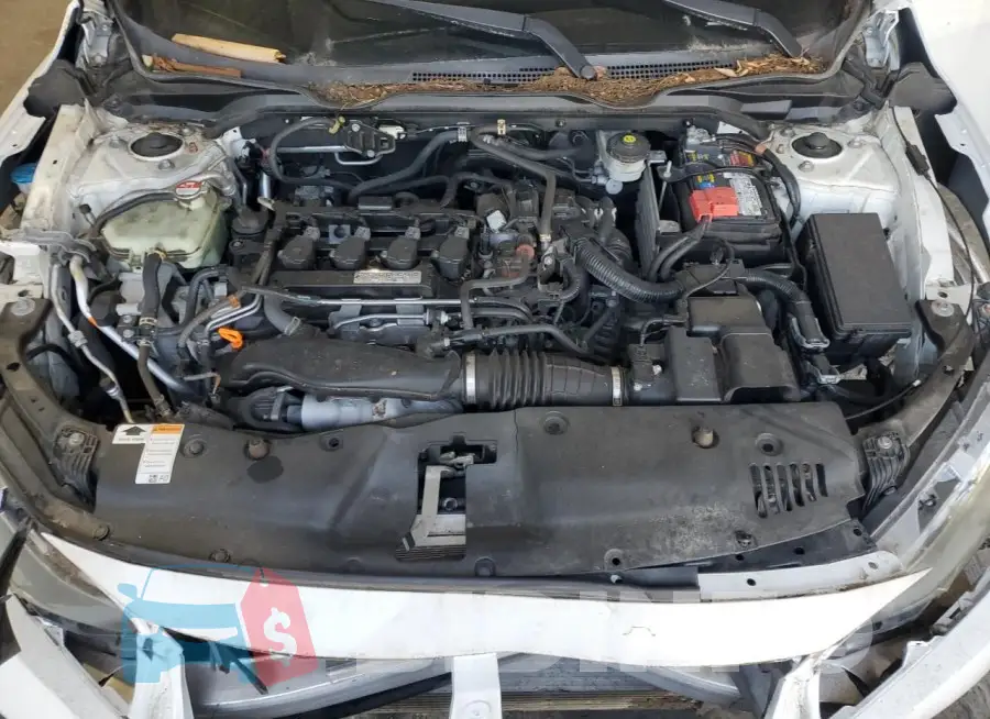19XFC1F30GE040072 Photo# 11