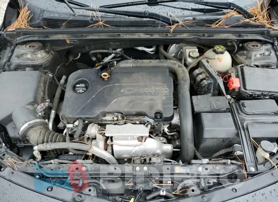 1G1ZE5ST7HF107030 Photo# 11