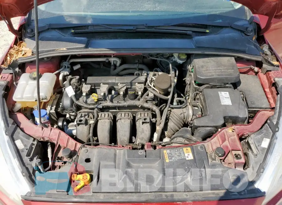 1FADP3F26GL252728 Photo# 11