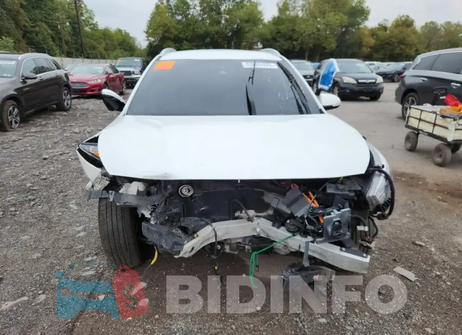 KNDCC3LG1L5074582 Photo# 5