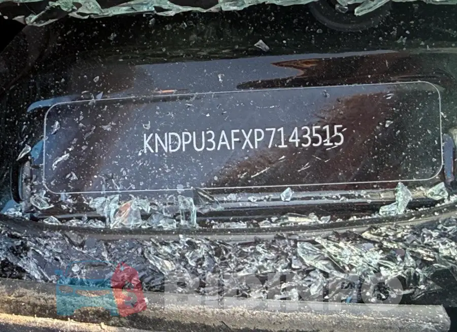 KNDPU3AFXP7143515 Photo# 13