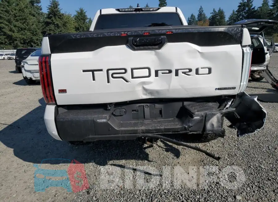 5TFPC5DB9SX104088 Photo# 6