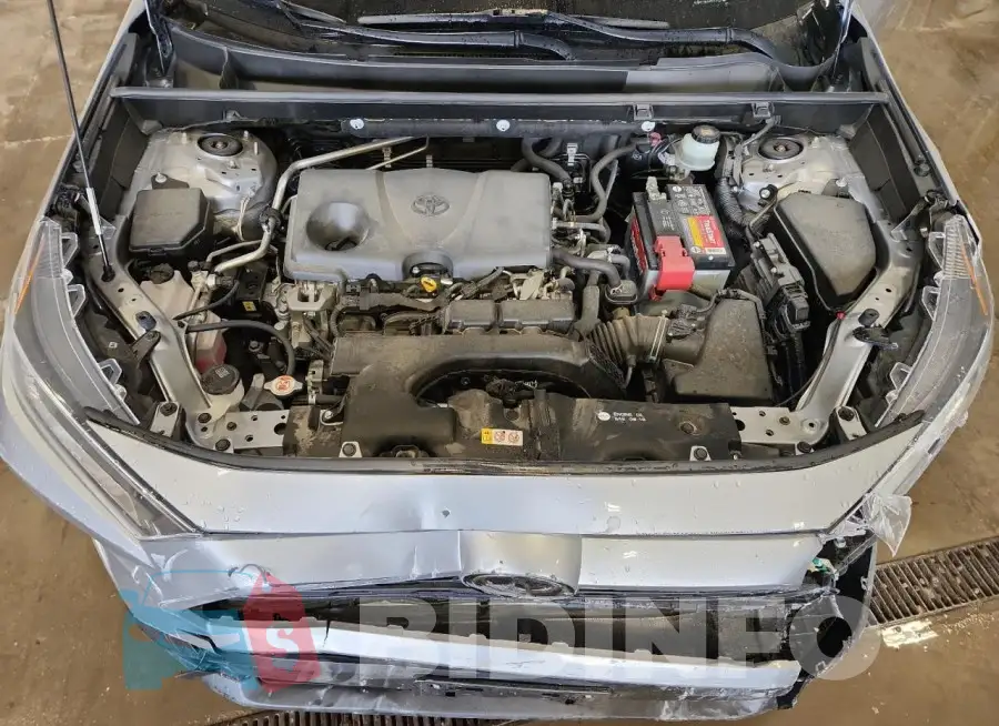 JTMP1RFV6KD512313 Photo# 12