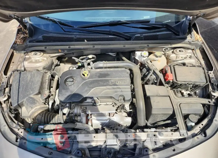 1G1ZD5ST5PF251922 Photo# 11