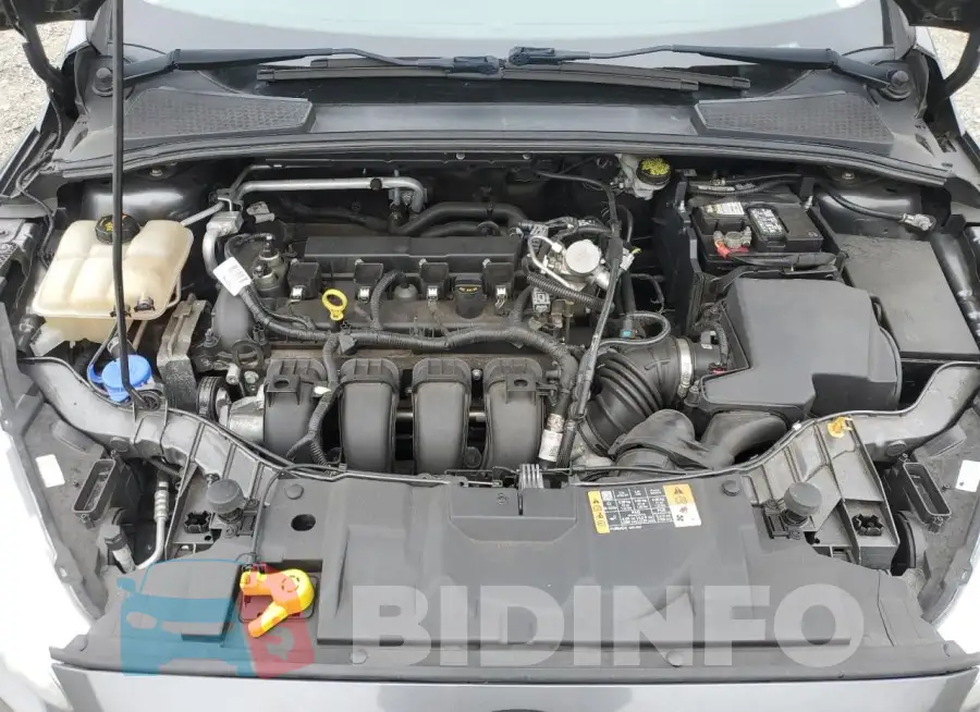 1FADP3F20GL363663 Photo# 11