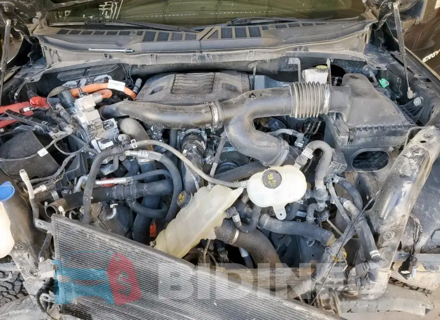 1FTFW1ED9MFA49162 Photo# 11