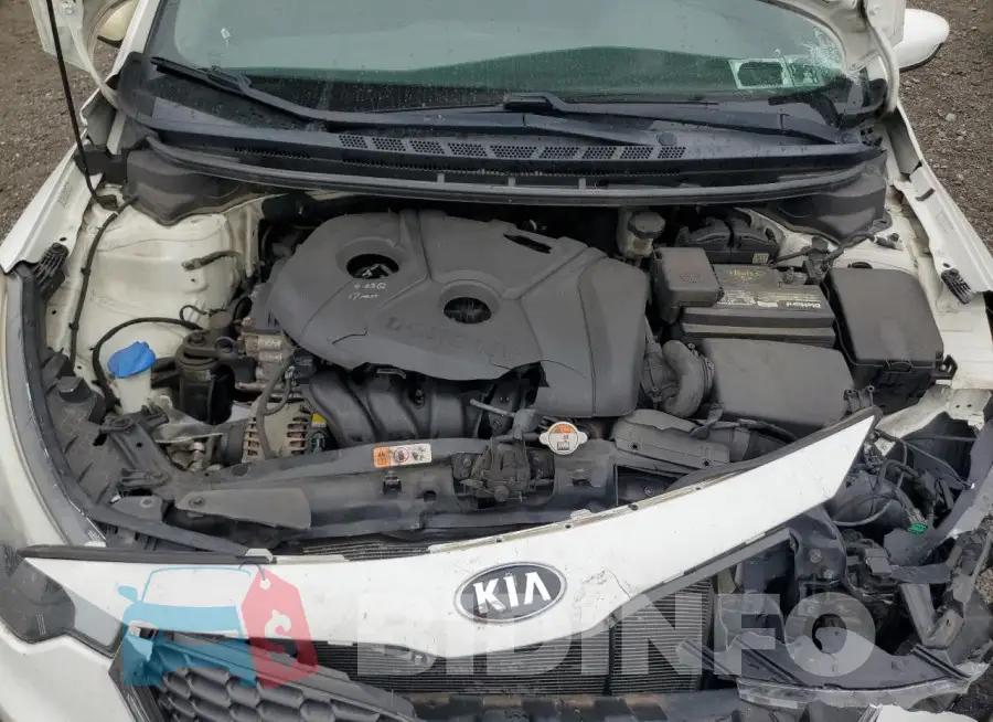 KNAFK4A61G5504212 Photo# 11