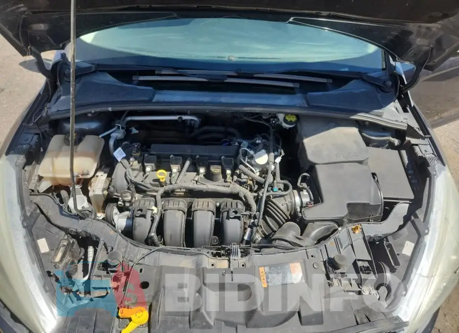 1FADP3F22GL395417 Photo# 11