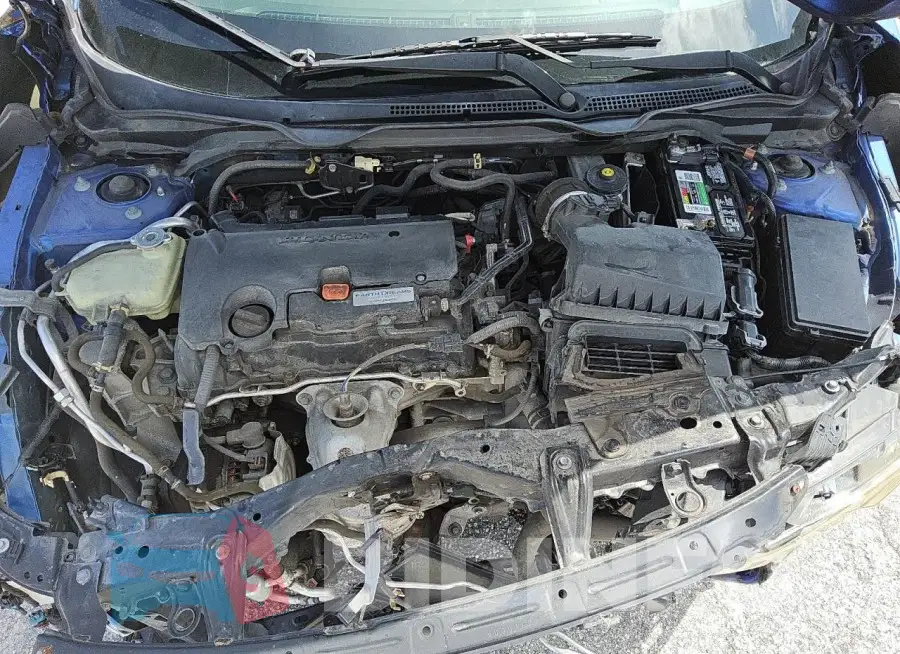 19XFC2F55HE041775 Photo# 11