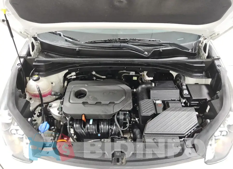 KNDPM3AC7M7942296 Photo# 12