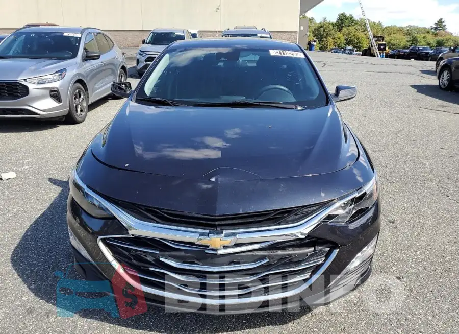 1G1ZD5ST6PF229265 Photo# 5