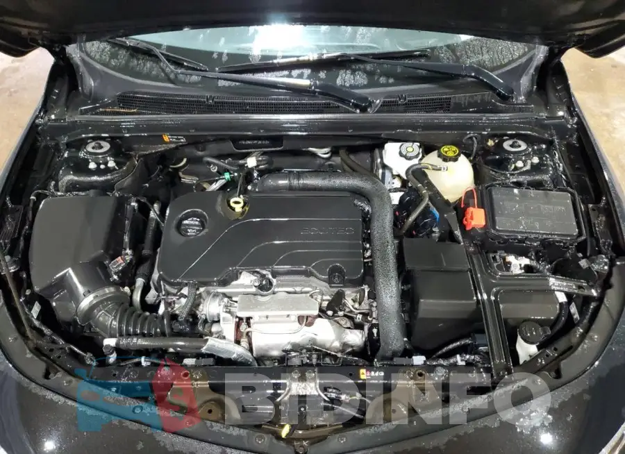 1G1ZD5STXPF251317 Photo# 11