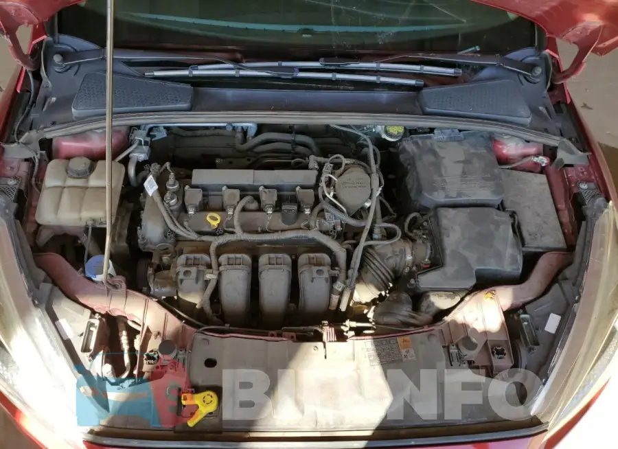 1FADP3F22GL254427 Photo# 11