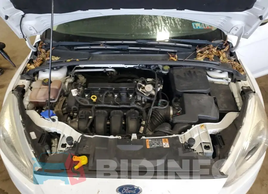 1FADP3F25GL342579 Photo# 11