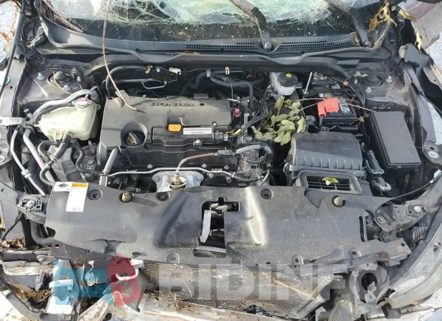 19XFC2F55GE070434 Photo# 11
