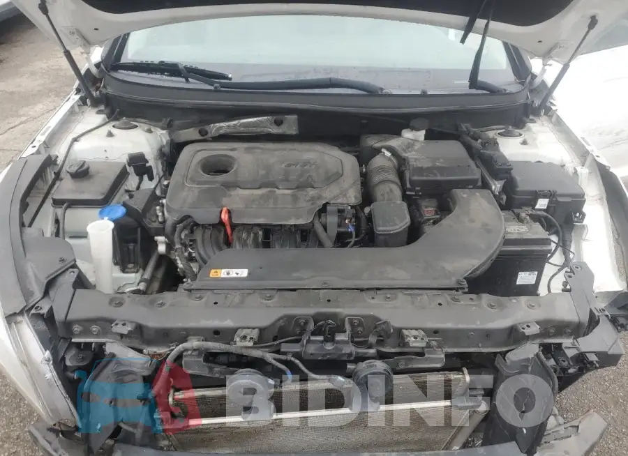 5NPE24AF0GH356598 Photo# 11