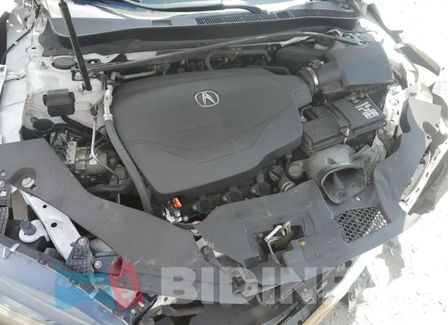 19UUB2F63KA005453 Photo# 11