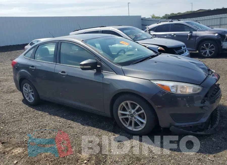 1FADP3F25HL317568 Photo# 4