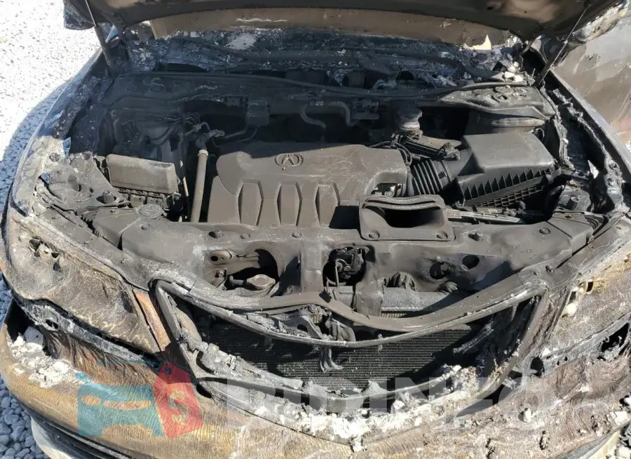 5J8TB3H31HL010281 Photo# 12