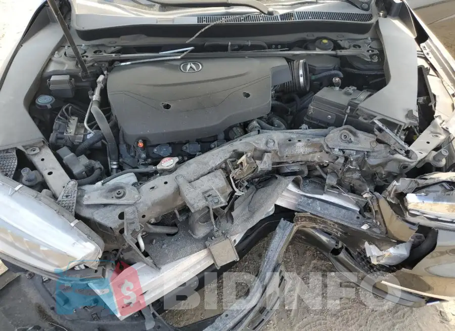 19UUB2F38KA003932 Photo# 11