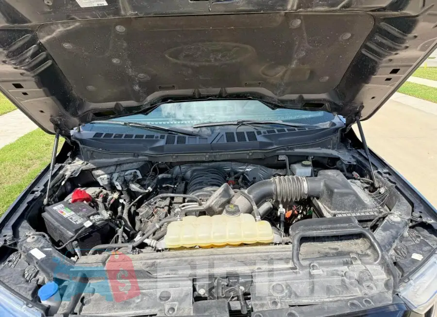 1FTFW1E53PFA94255 Photo# 7