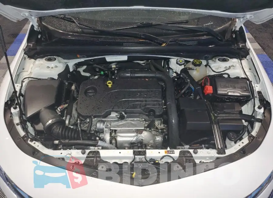 1G1ZD5STXPF181785 Photo# 11