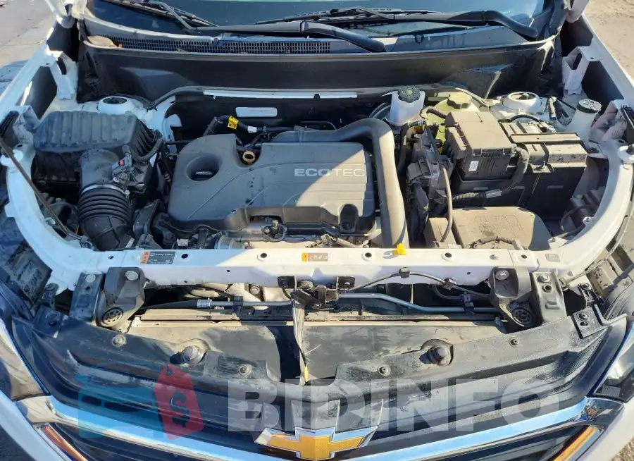 2GNAXTEV1M6139130 Photo# 12