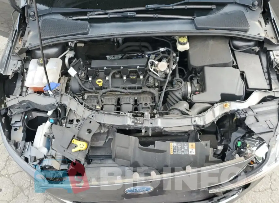 1FADP3E22HL256097 Photo# 11