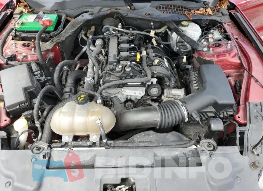 1FATP8UH4K5149899 Photo# 11