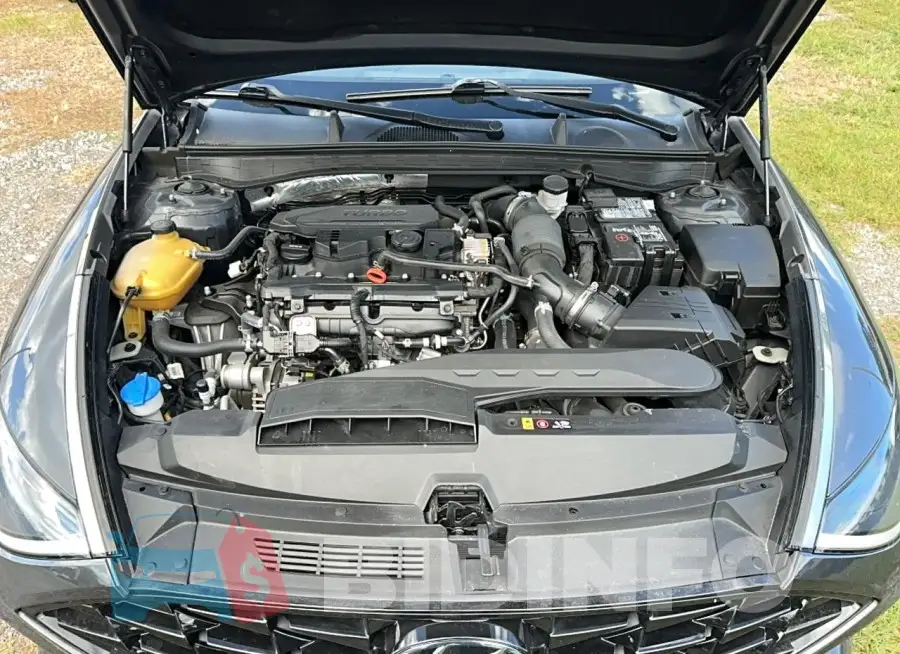 5NPEJ4J24MH095861 Photo# 7