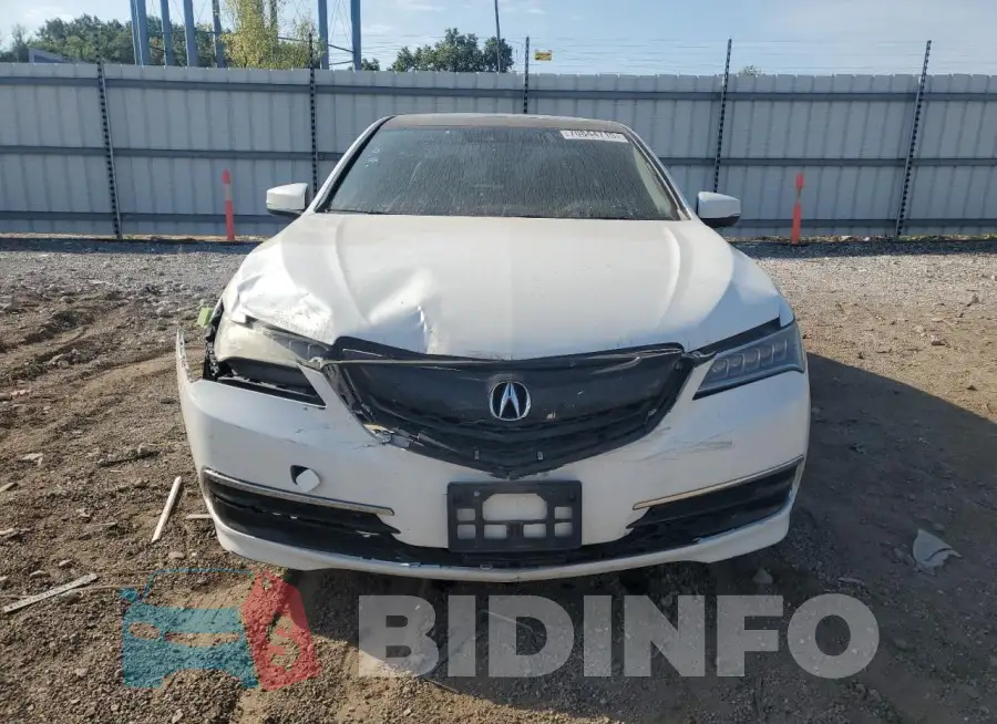 19UUB2F52GA012781 Photo# 5
