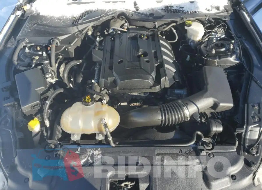 1FA6P8TH8K5201467 Photo# 11