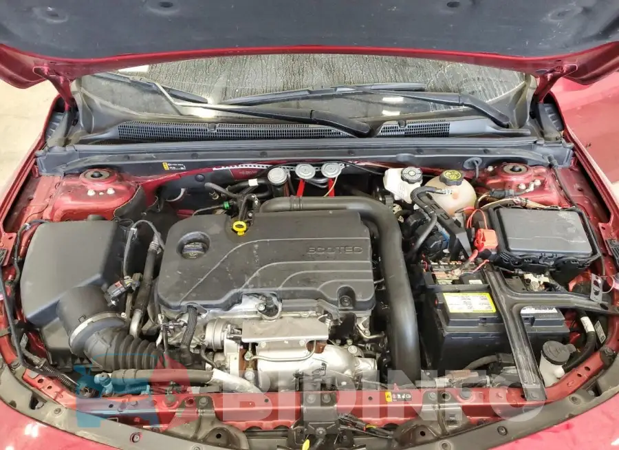 1G1ZD5ST4RF116210 Photo# 11