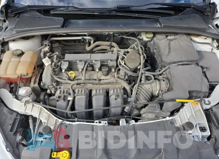 1FADP3F21GL231754 Photo# 11