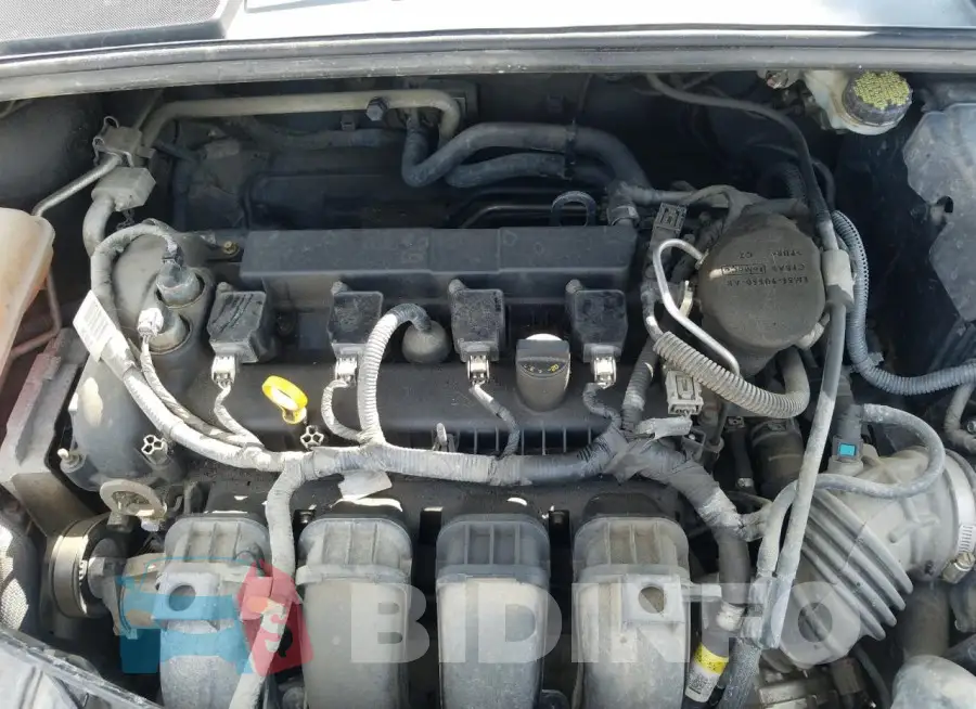 1FADP3F24GL200367 Photo# 11