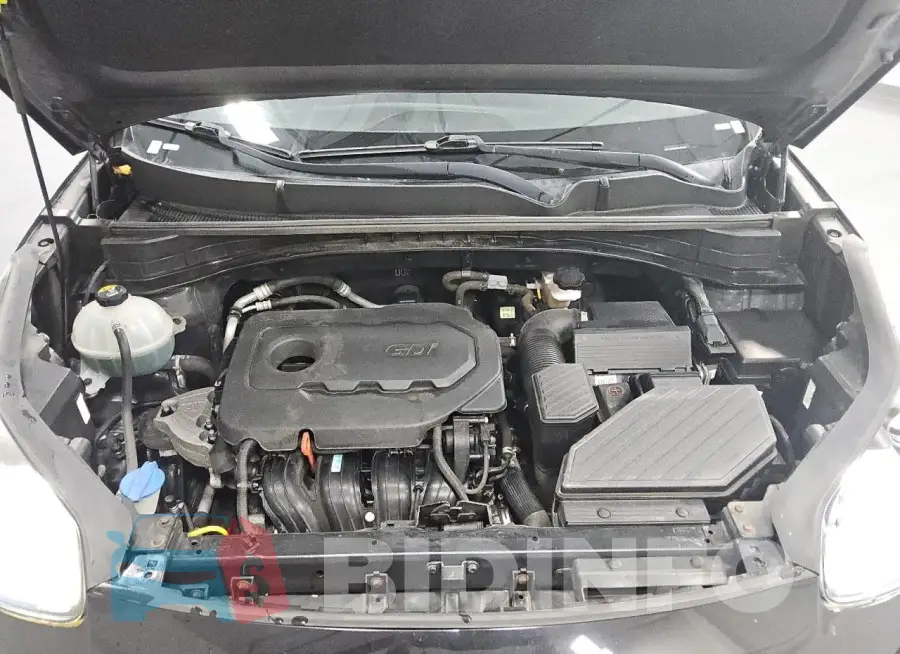 KNDPM3AC5L7634476 Photo# 12