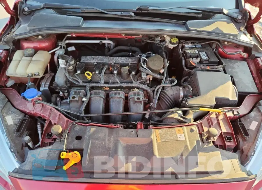 1FADP3F29GL230173 Photo# 11