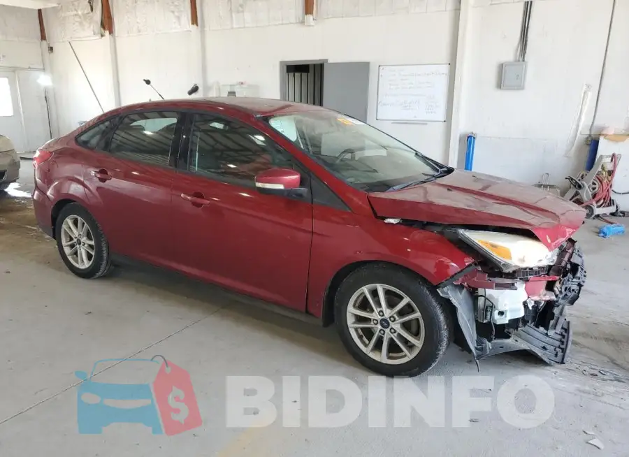 1FADP3F29GL280667 Photo# 4