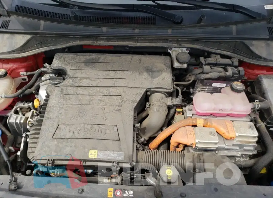 KNDCC3LC3L5448252 Photo# 11