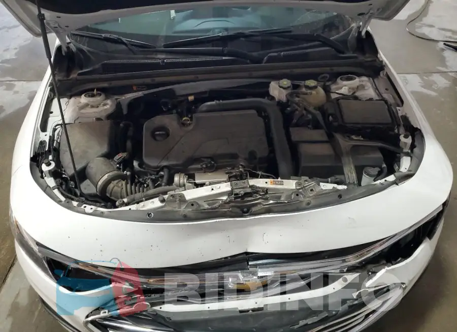 1G1ZD5ST1PF248533 Photo# 11