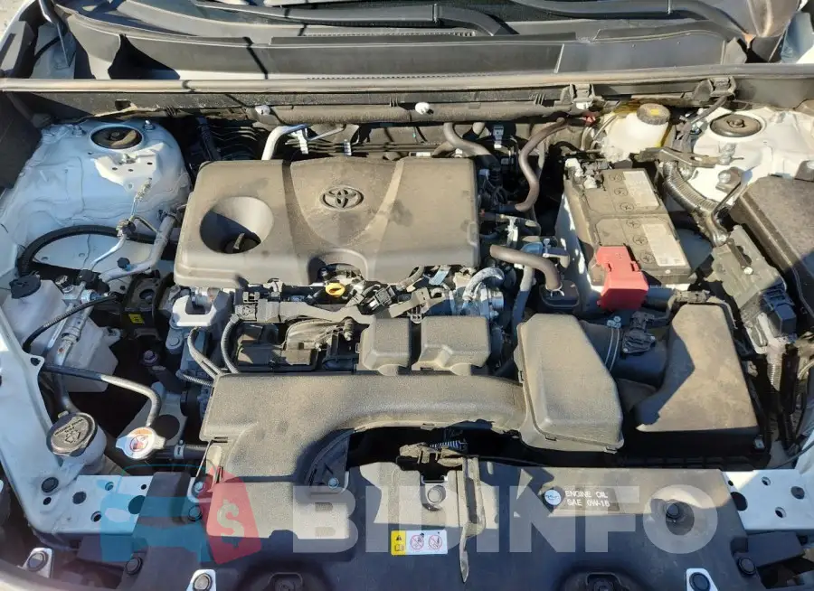 2T3F1RFV6SC493259 Photo# 11