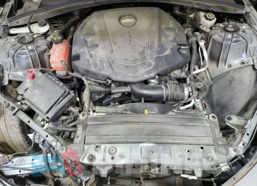 1G1FB1RS8L0103470 Photo# 11